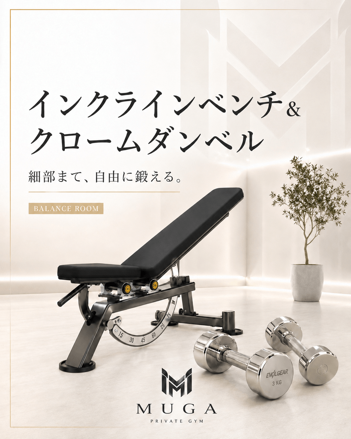インクラインベンチ&クロームダンベル