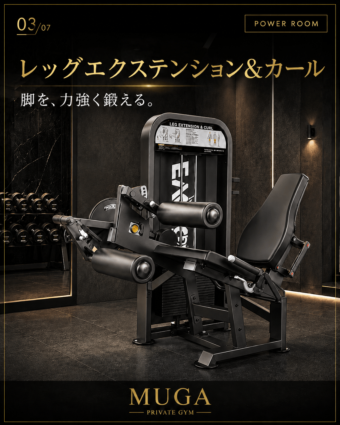 レッグエクステンション&カール
