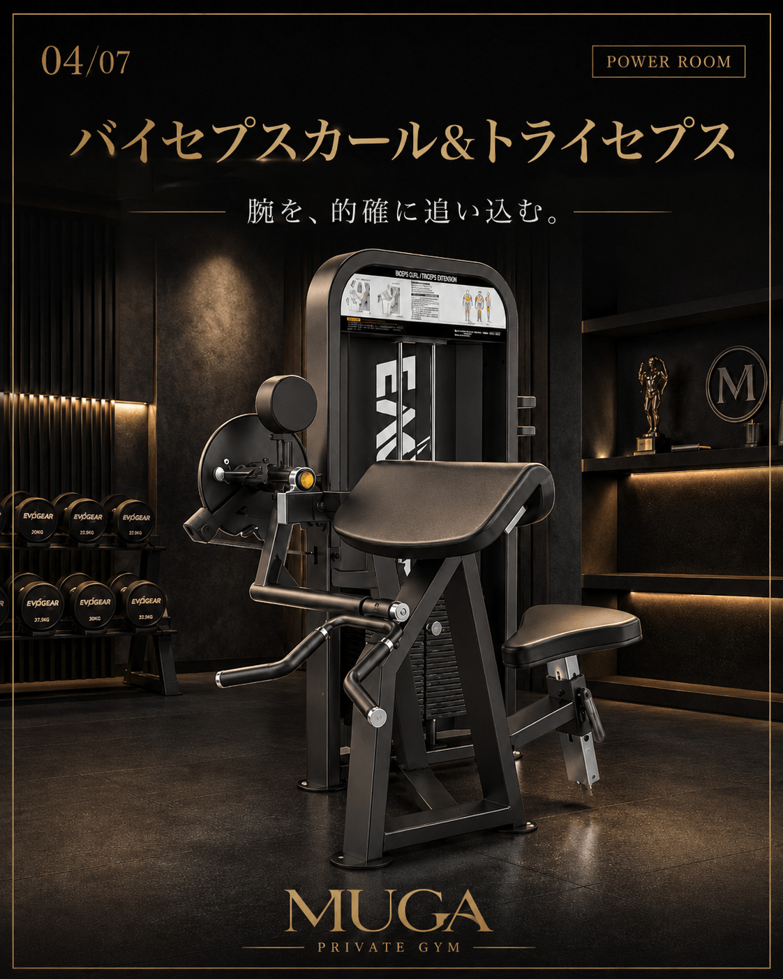 バイセプスカール&トライセプス